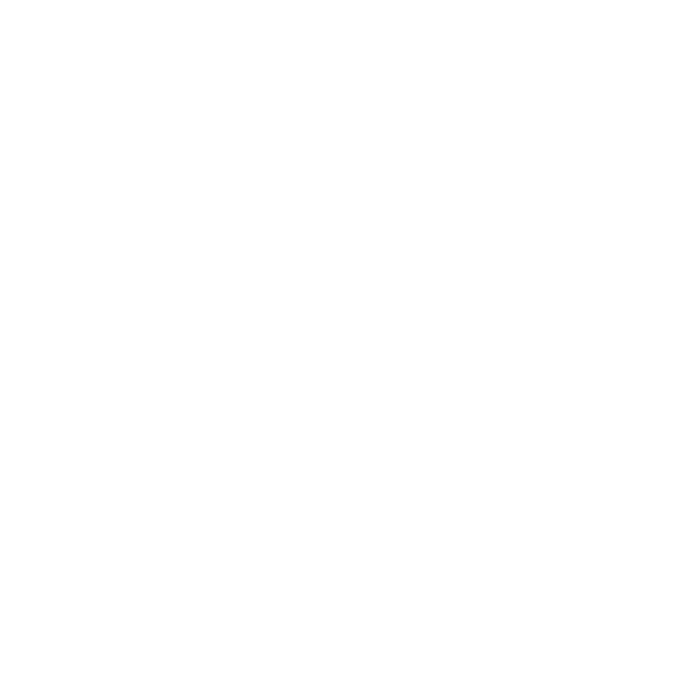 feature-item-2