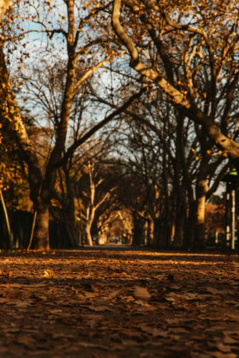 Maratón de Santiago